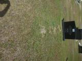 image of grave number 834917